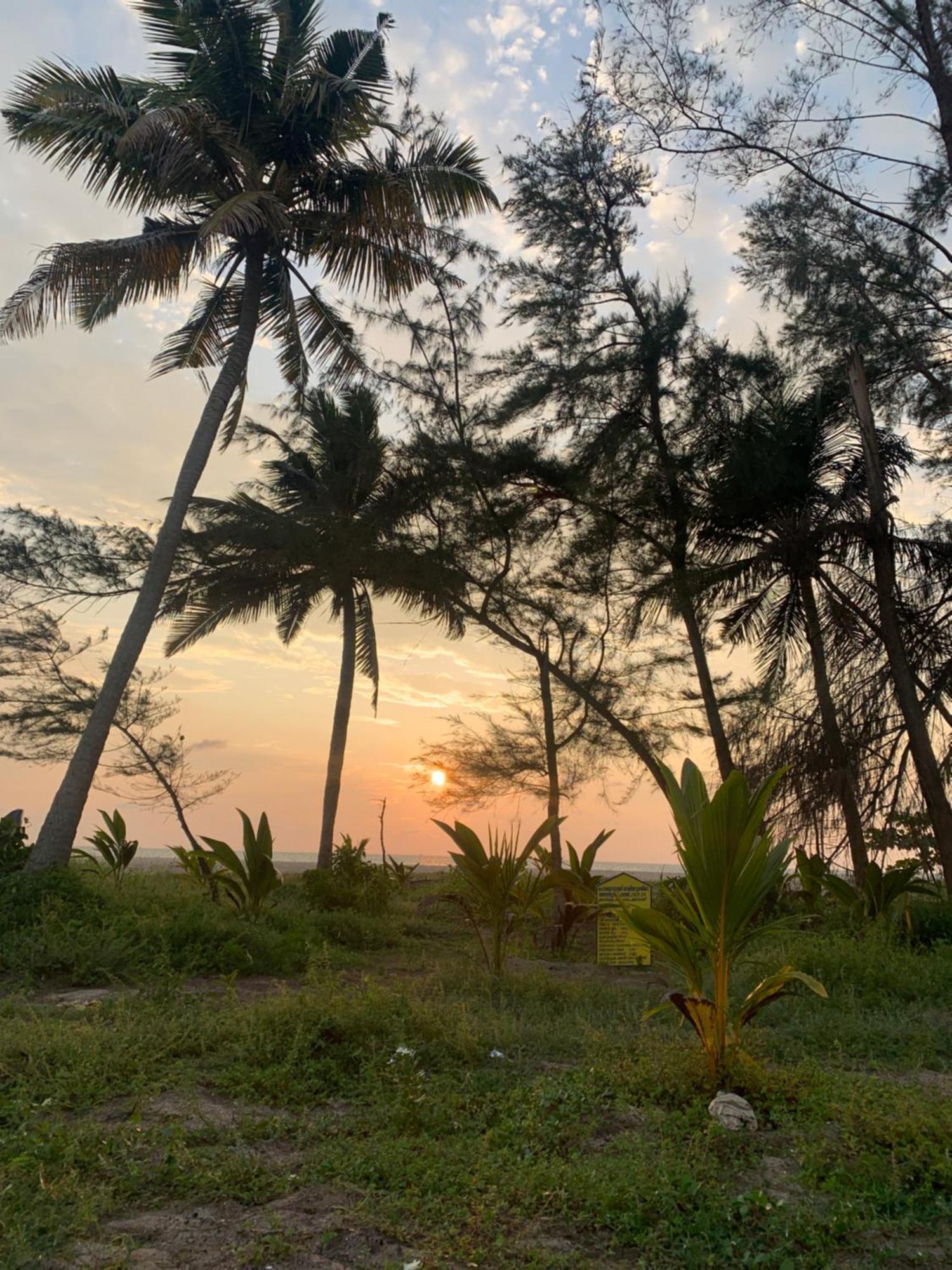 Shoreline Marari Beach Villa At Golden Beach Mararikulam Alappuzha Exterior foto